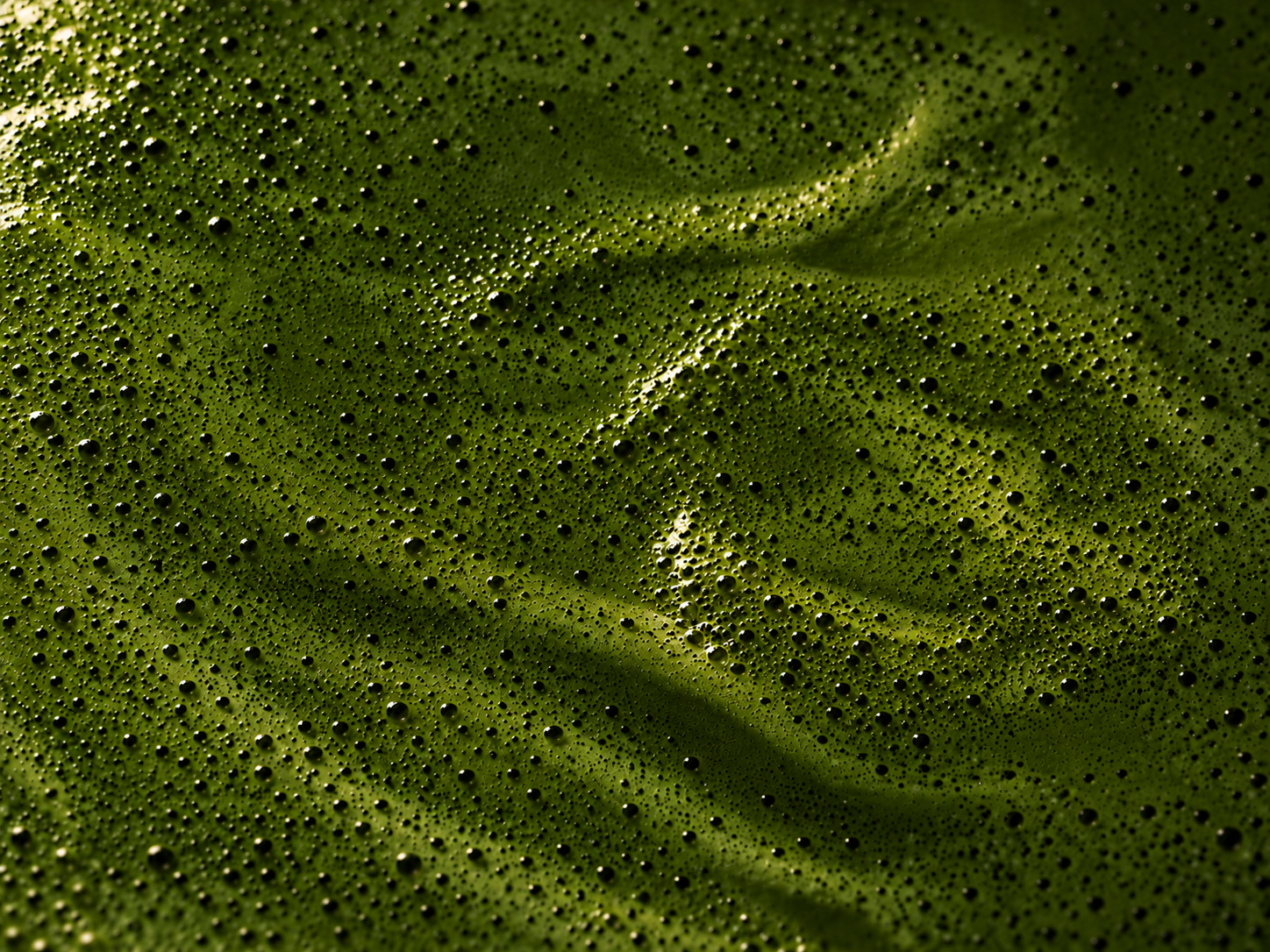 A close-up of freshly whisked matcha with fine bubbles